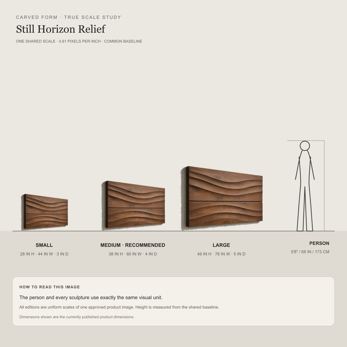 Still Horizon Relief, carved teak wood wall art — size and scale study