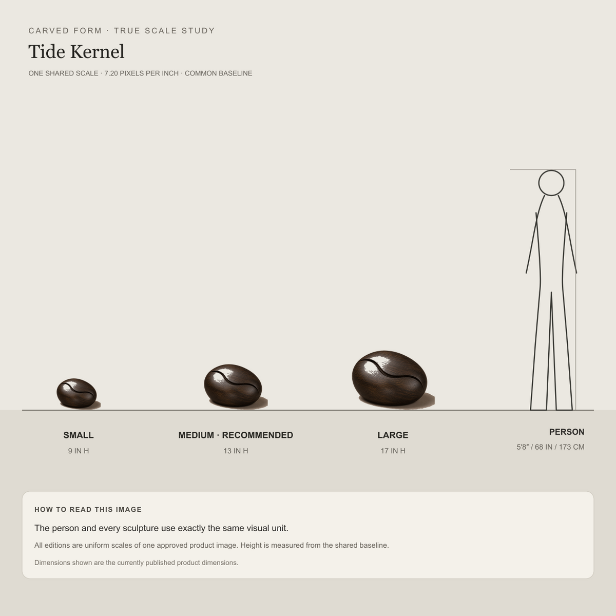 Tide Kernel, teak wood tabletop sculpture — size and scale study