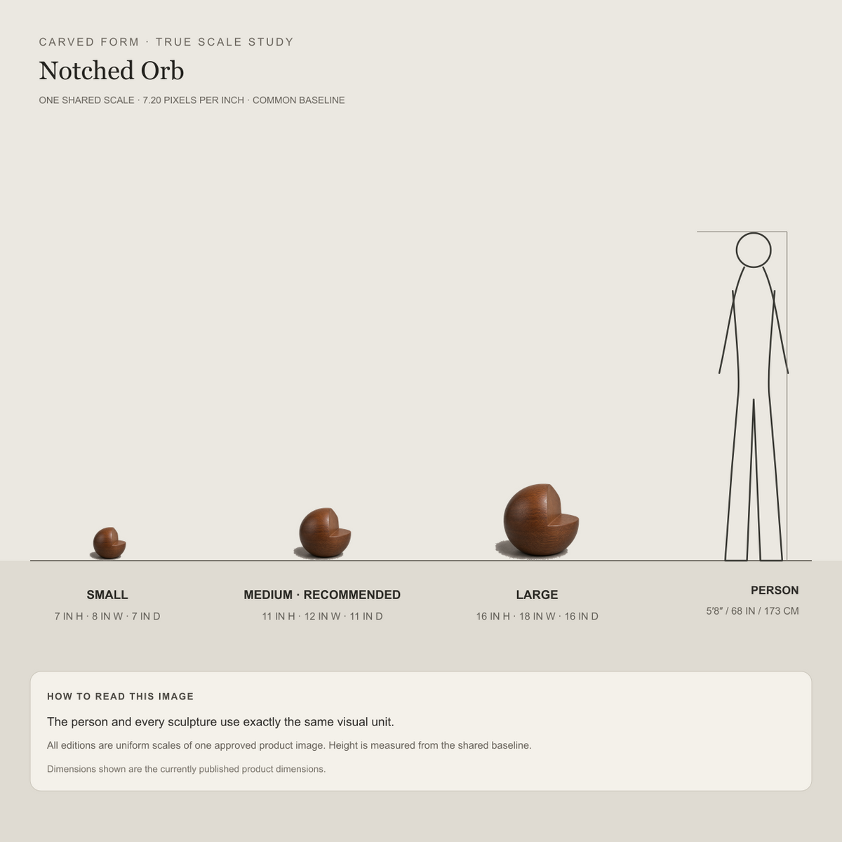 Notched Orb, teak wood tabletop sculpture — size and scale study