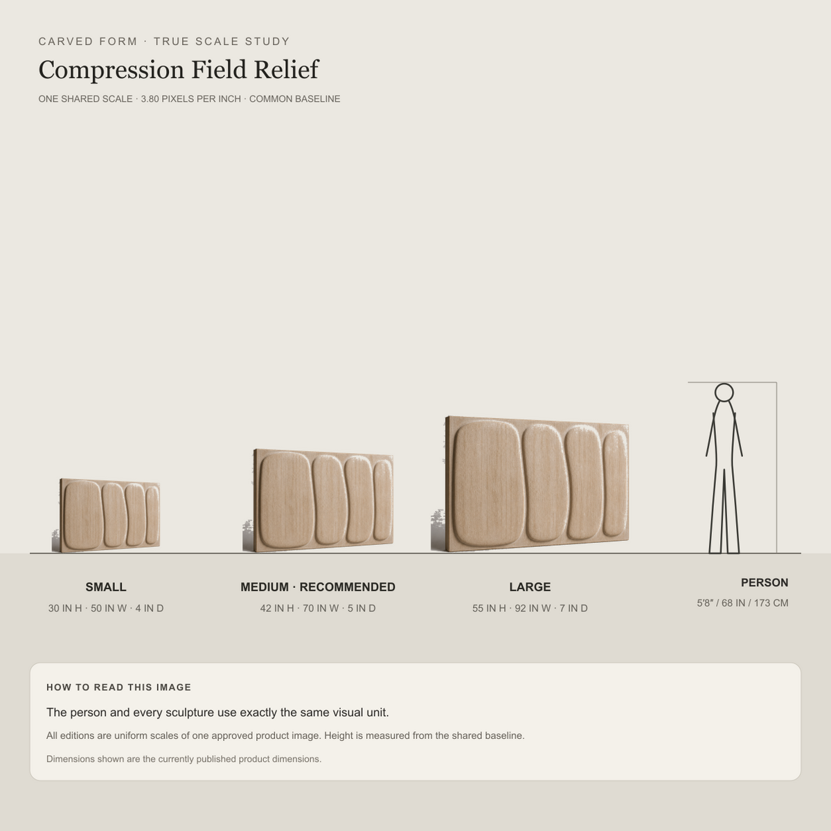 Compression Field Relief, carved teak wood wall art — size and scale study