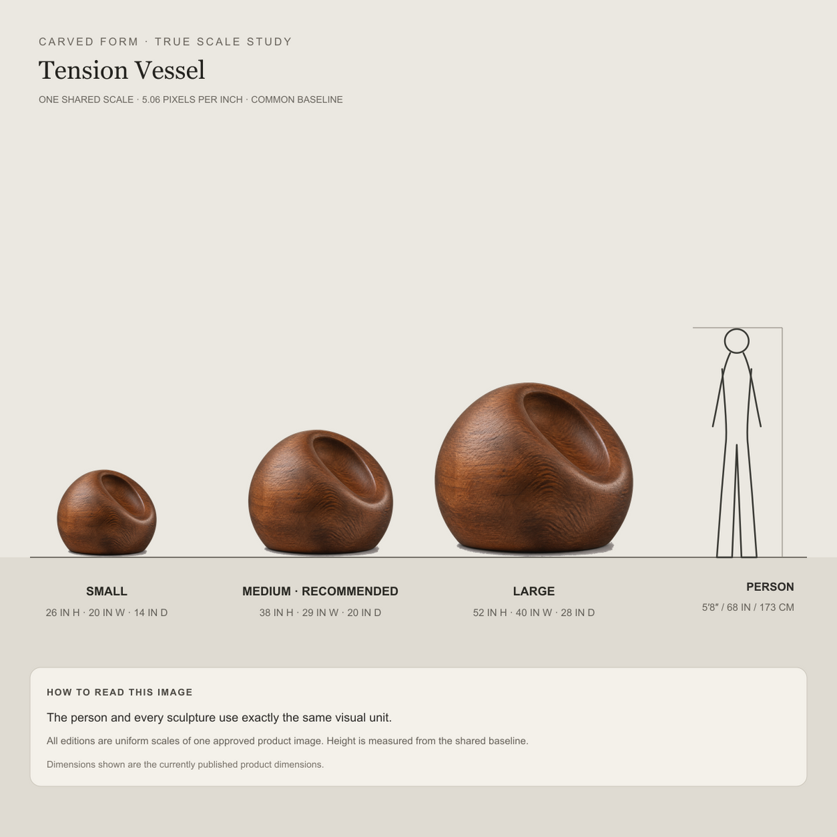 Tension Vessel, abstract teak wood sculpture — size and scale study