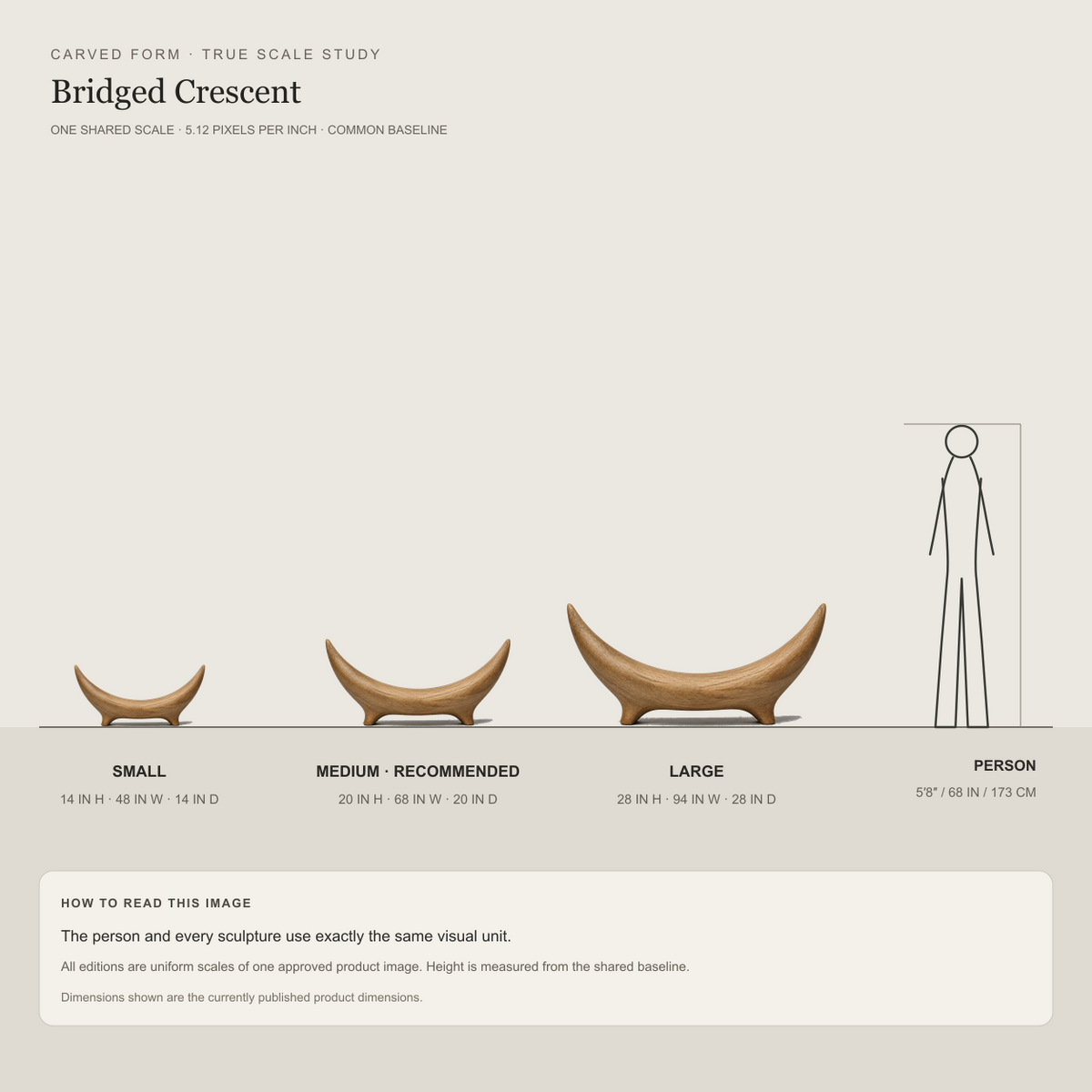 Bridged Crescent, teak wood console sculpture — size and scale study