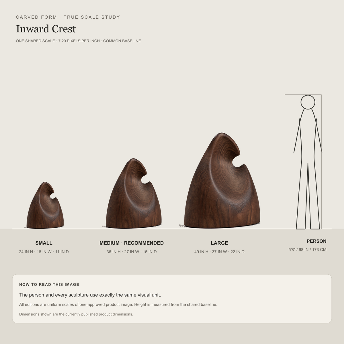 Inward Crest, abstract teak wood sculpture — size and scale study