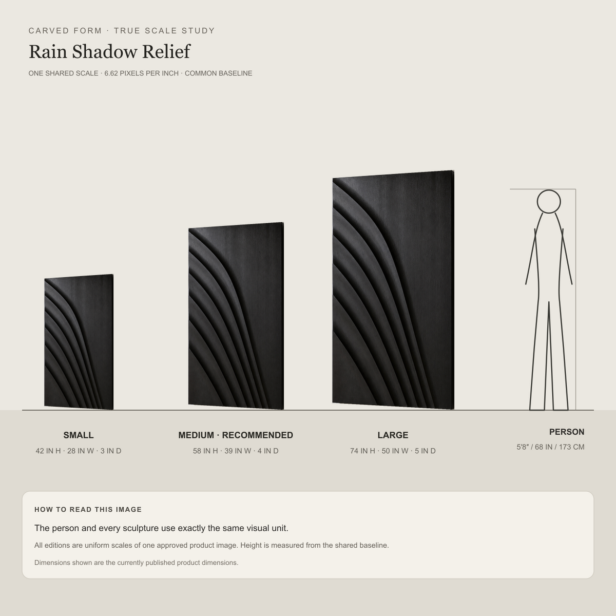 Rain Shadow Relief, carved teak wood wall art — size and scale study