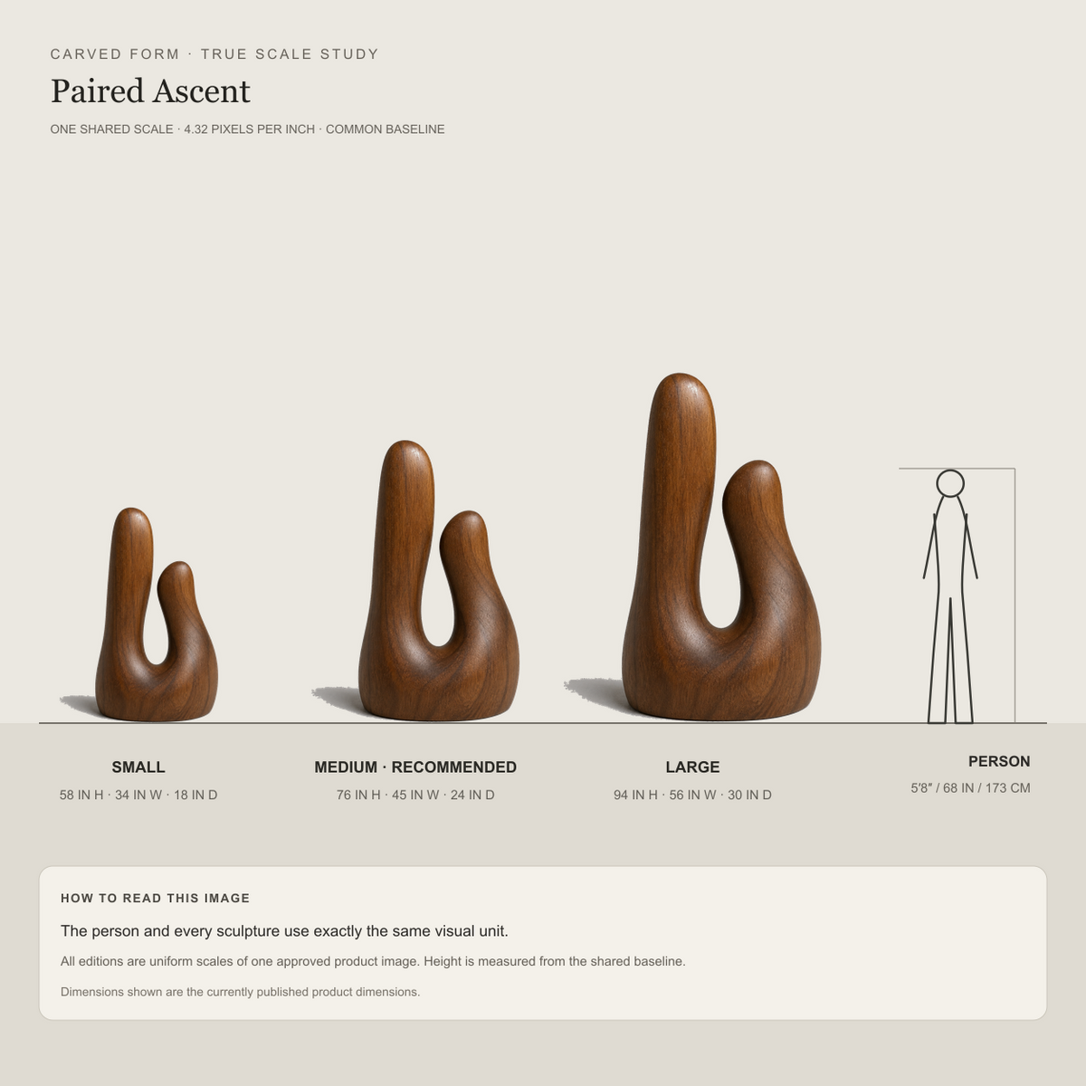 Paired Ascent, teak wood floor sculpture — size and scale study