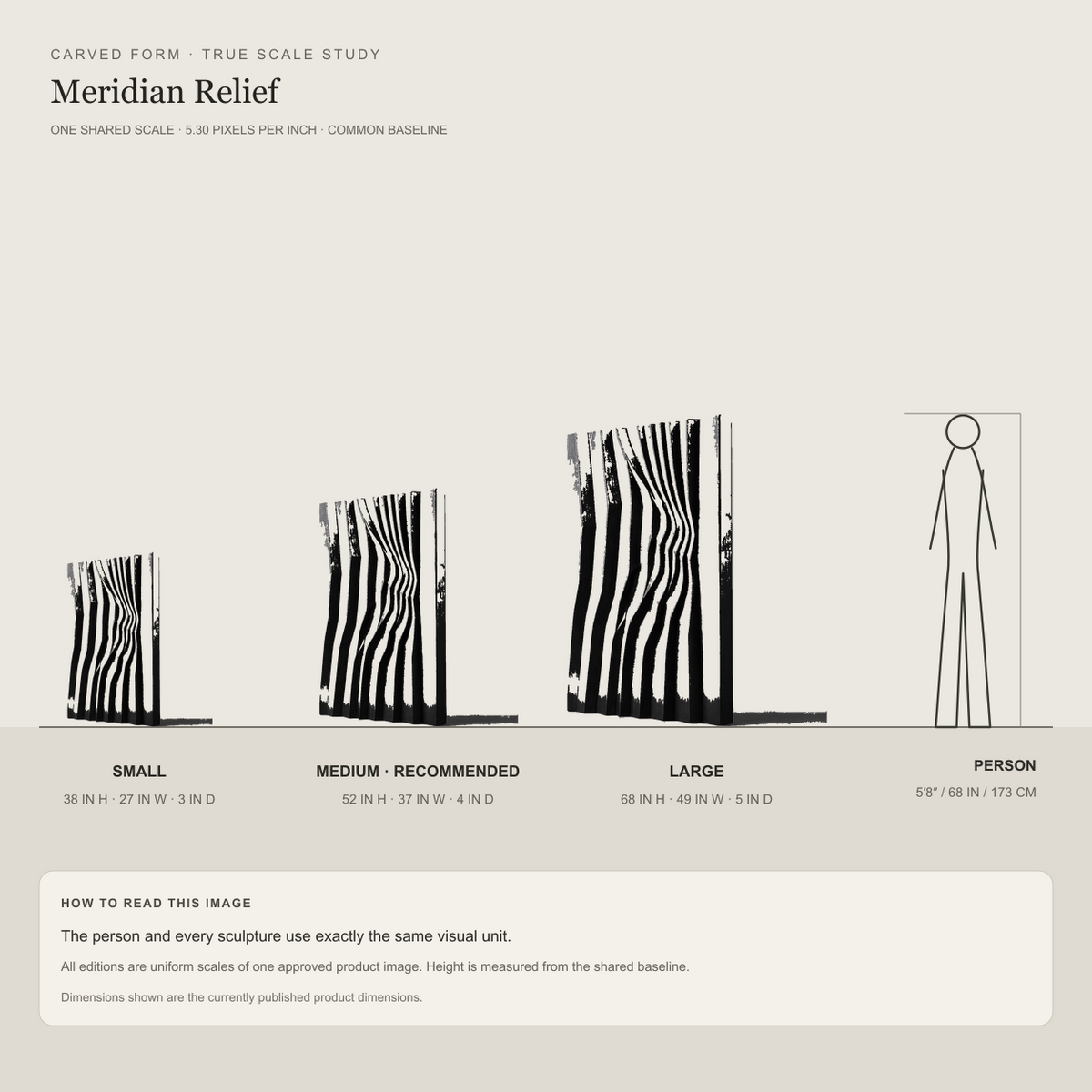 Meridian Relief, carved teak wood wall art — size and scale study