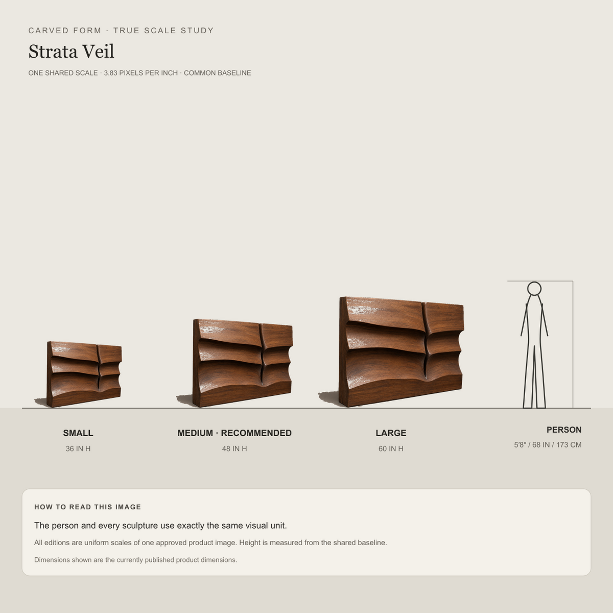 Strata Veil, carved teak wood wall art — size and scale study