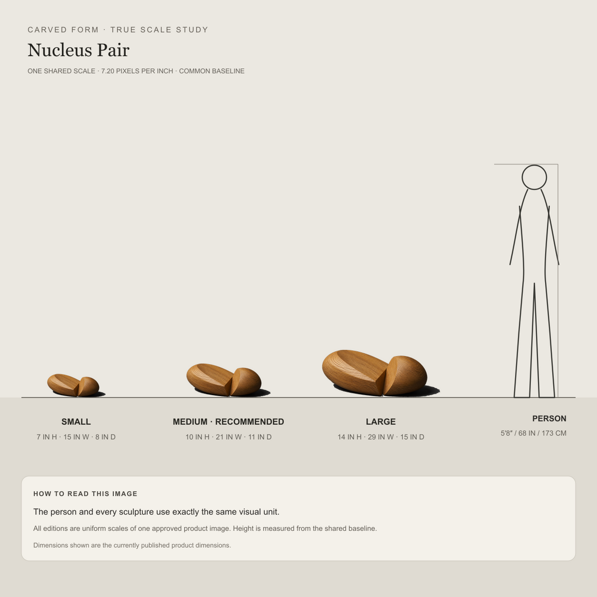 Nucleus Pair, teak wood tabletop sculpture — size and scale study
