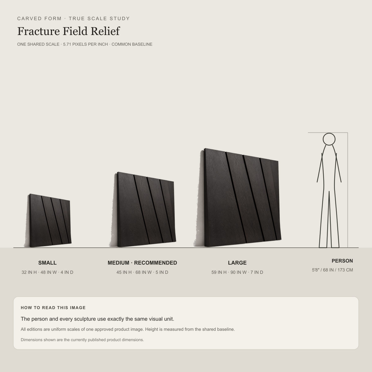 Fracture Field Relief, carved teak wood wall art — size and scale study