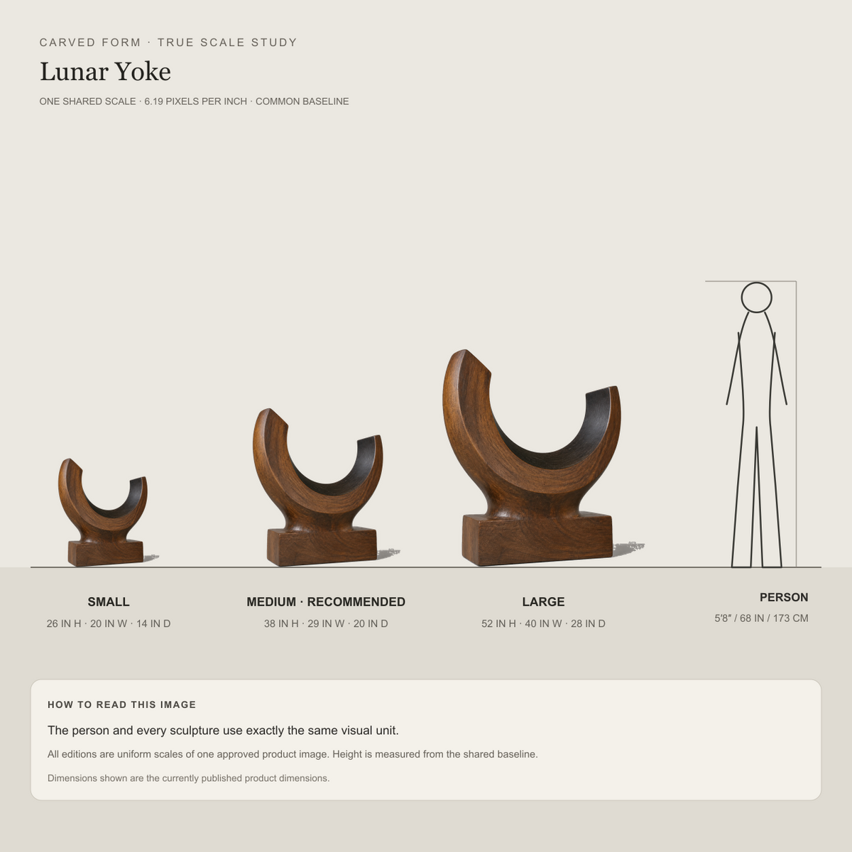 Lunar Yoke, abstract teak wood sculpture — size and scale study