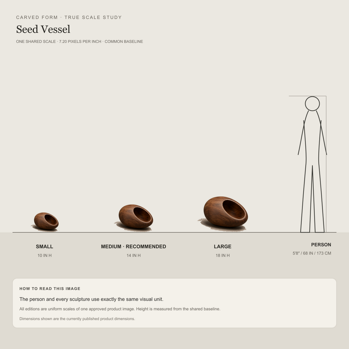 Seed Vessel, teak wood tabletop sculpture — size and scale study