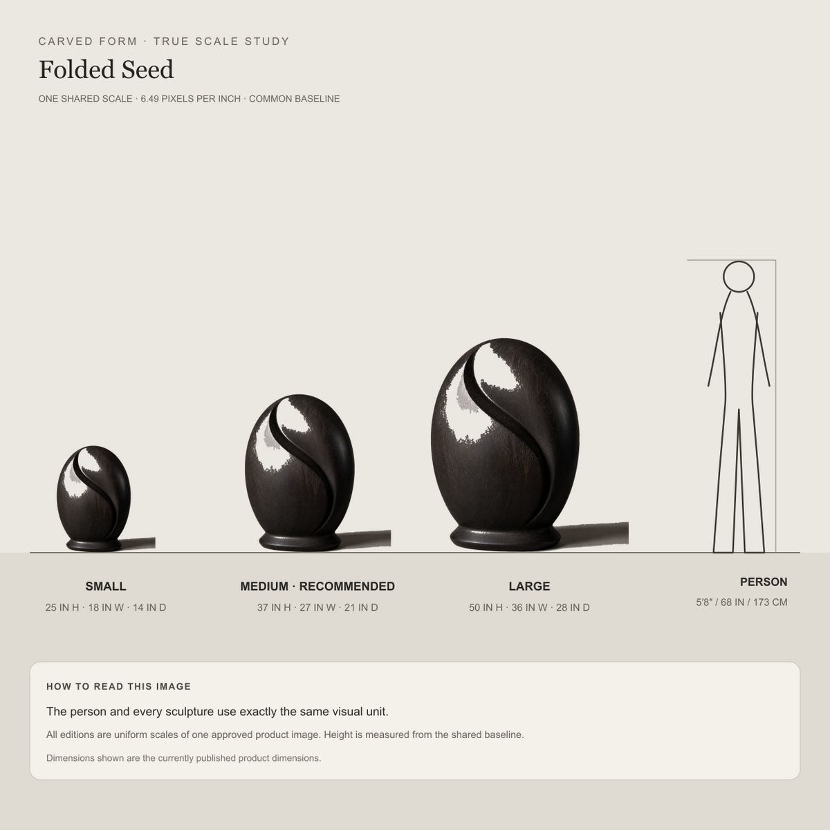 Folded Seed, abstract teak wood sculpture — size and scale study