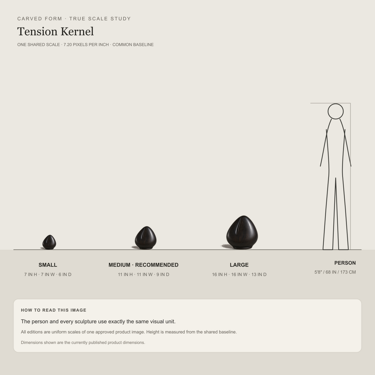 Tension Kernel, teak wood tabletop sculpture — size and scale study