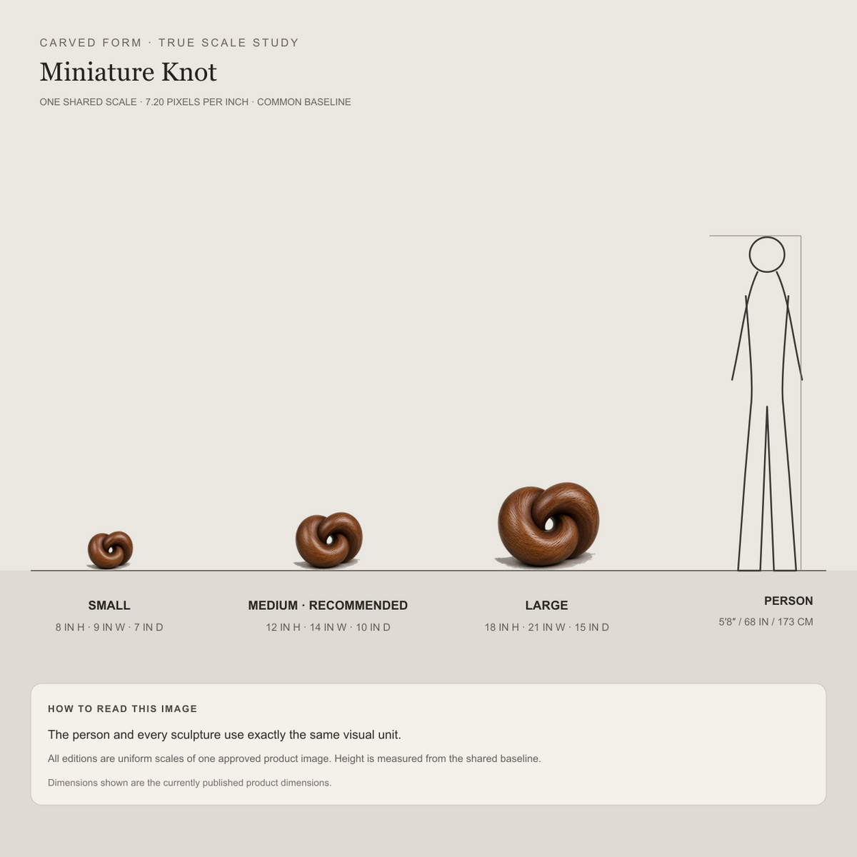 Miniature Knot, teak wood tabletop sculpture — size and scale study