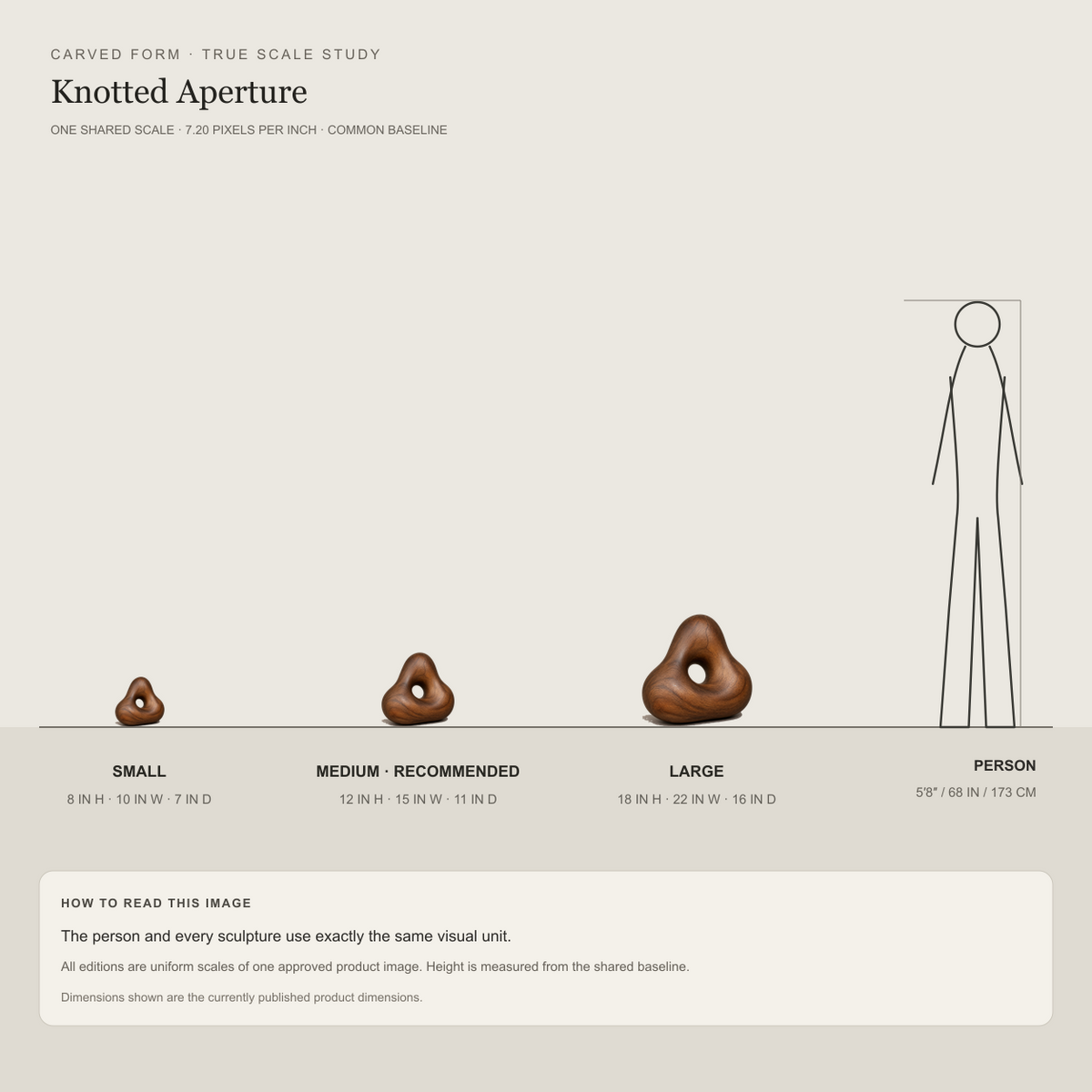 Knotted Aperture, teak wood tabletop sculpture — size and scale study