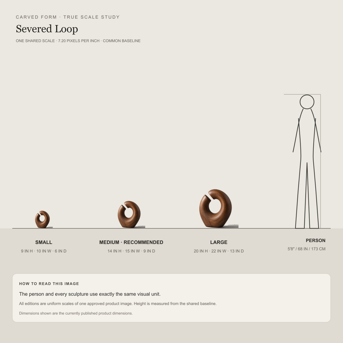 Severed Loop, teak wood tabletop sculpture — size and scale study