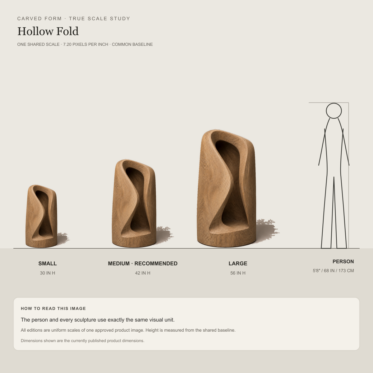 Hollow Fold, abstract teak wood sculpture — size and scale study