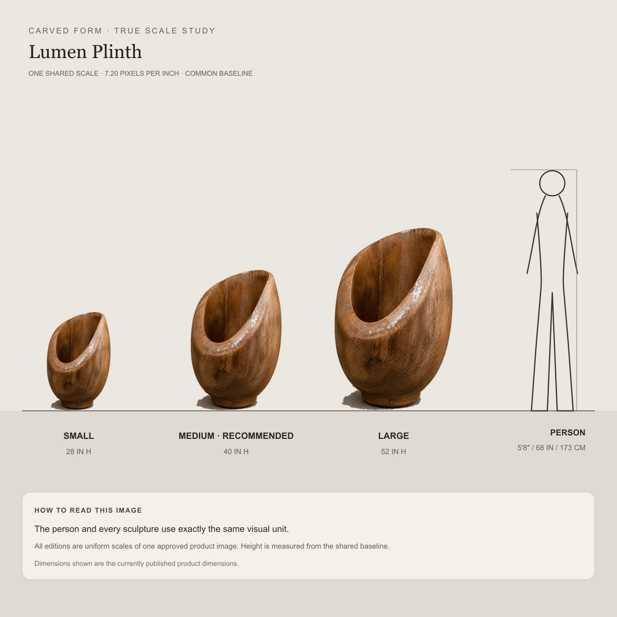 Lumen Plinth, abstract teak wood sculpture — size and scale study