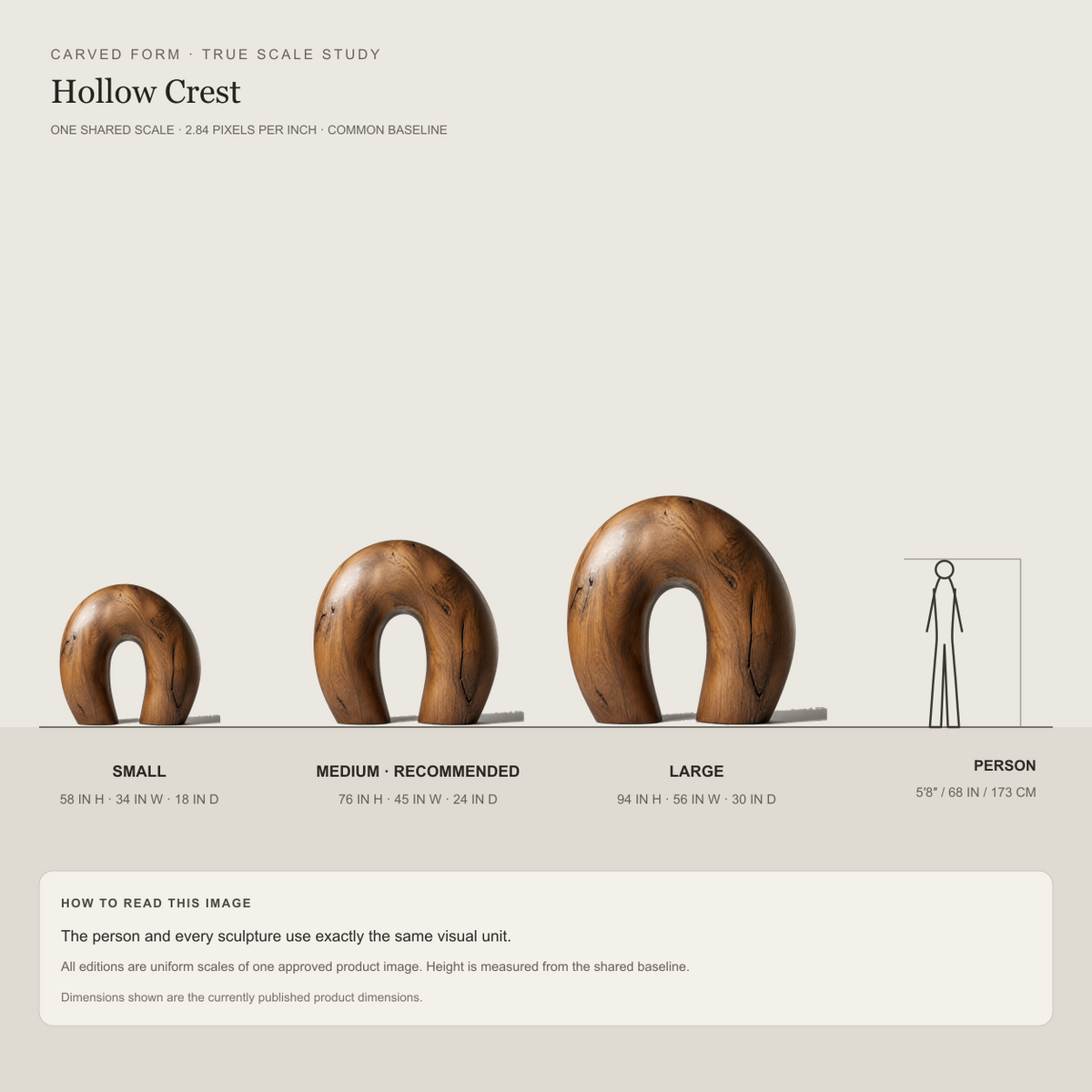 Hollow Crest, teak wood floor sculpture — size and scale study