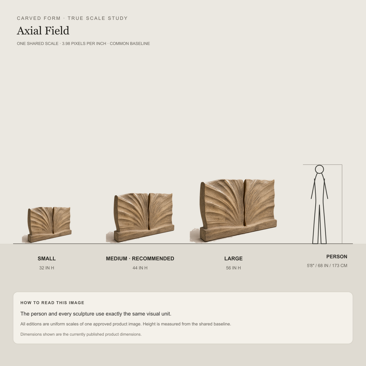 Axial Field, carved teak wood wall art — size and scale study