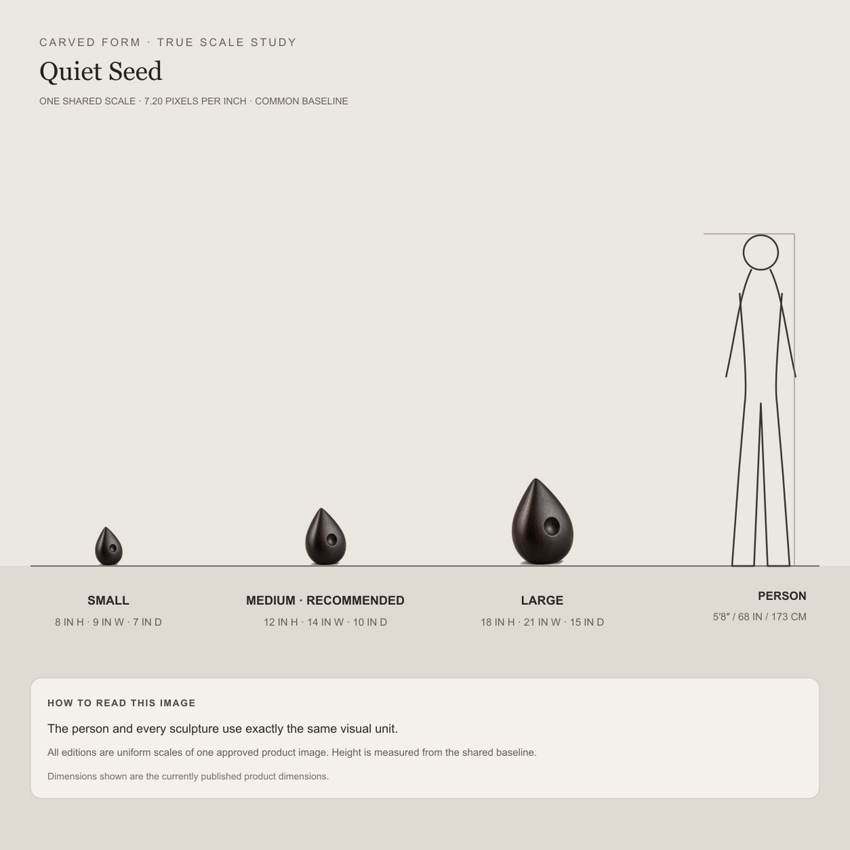 Quiet Seed, teak wood tabletop sculpture — size and scale study