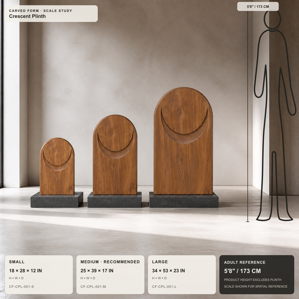 Crescent Plinth, abstract teak wood sculpture — size and scale study