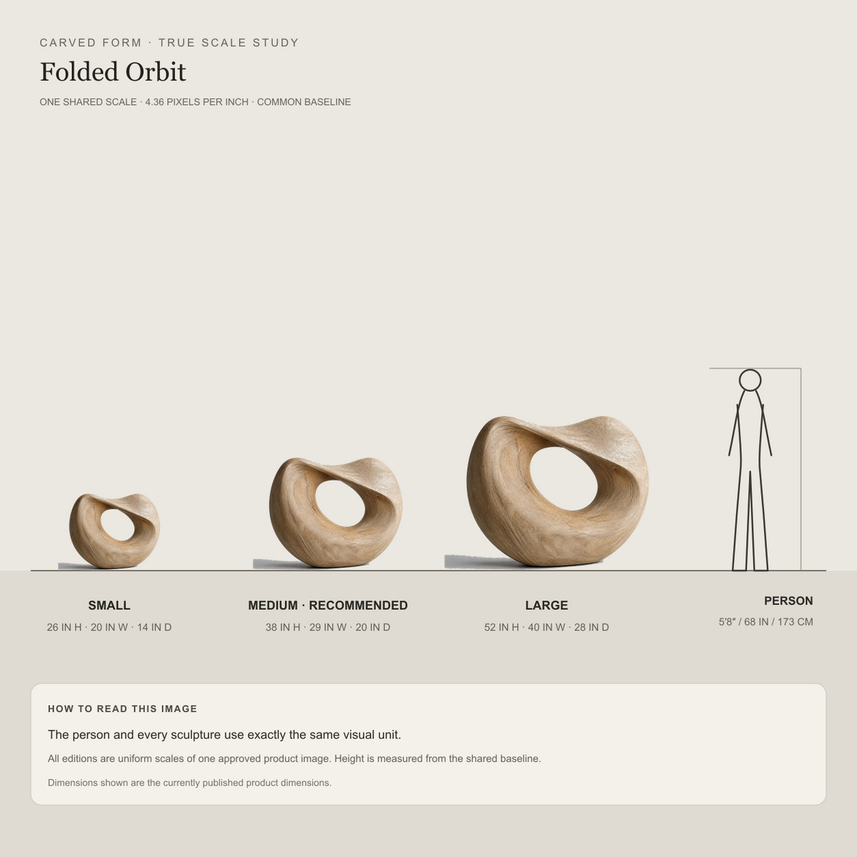 Folded Orbit, abstract teak wood sculpture — size and scale study