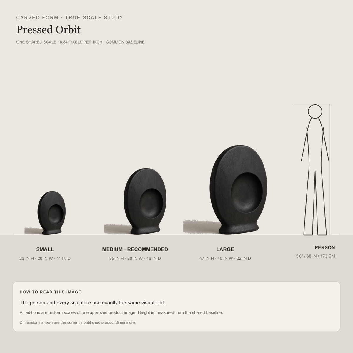 Pressed Orbit, abstract teak wood sculpture — size and scale study
