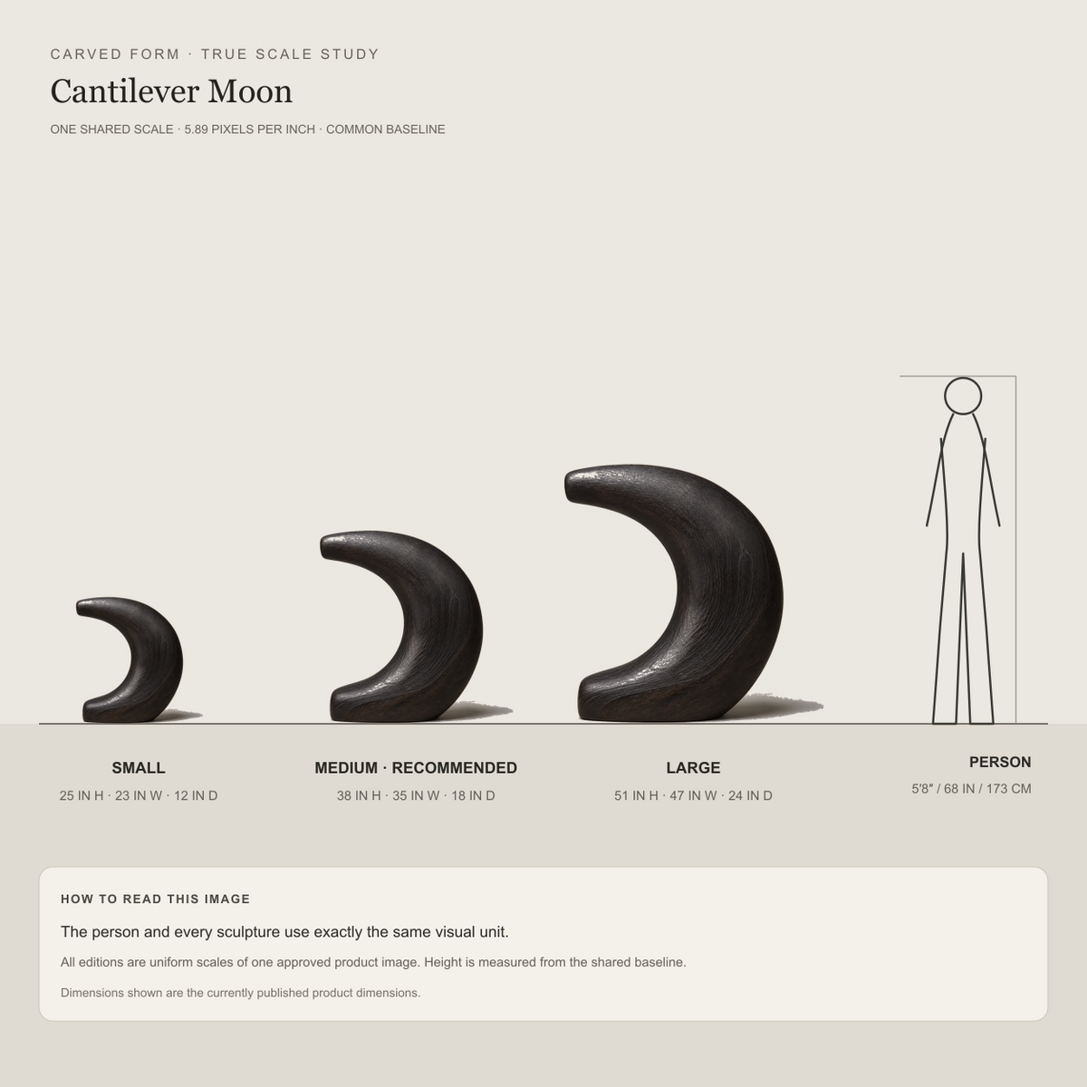 Cantilever Moon, abstract teak wood sculpture — size and scale study